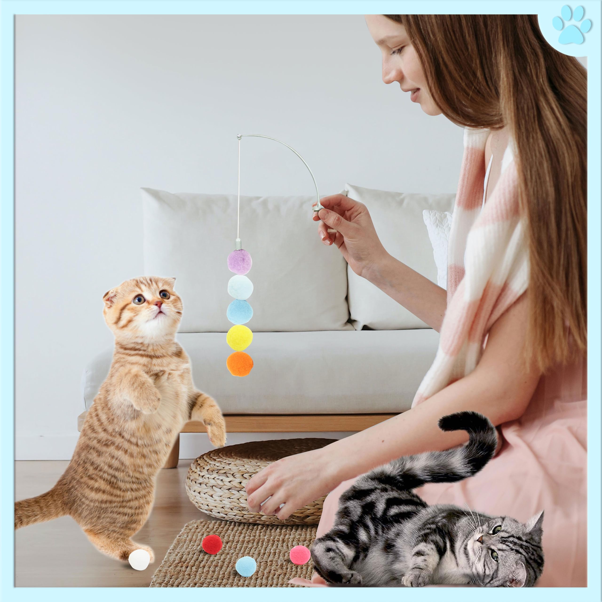 DODHEG cat-ball surface play prompting sprinting and jumping during interactive sessions.