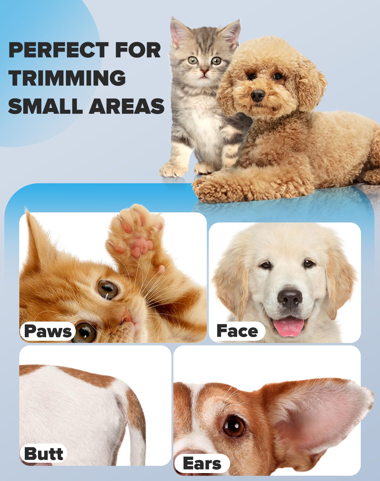 Dodiff in-use close-up showing pets comfortable during grooming