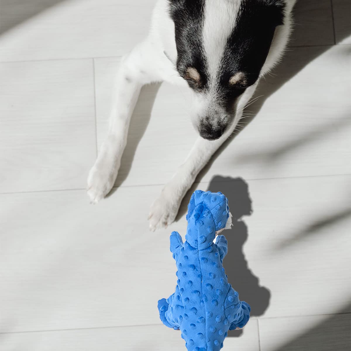 DODODOLA blue plush dino toy great as a birthday or gifting option.