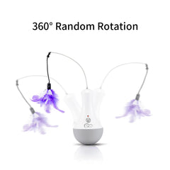 DOEL automatic cat toy features a silent motor for calm indoor sessions