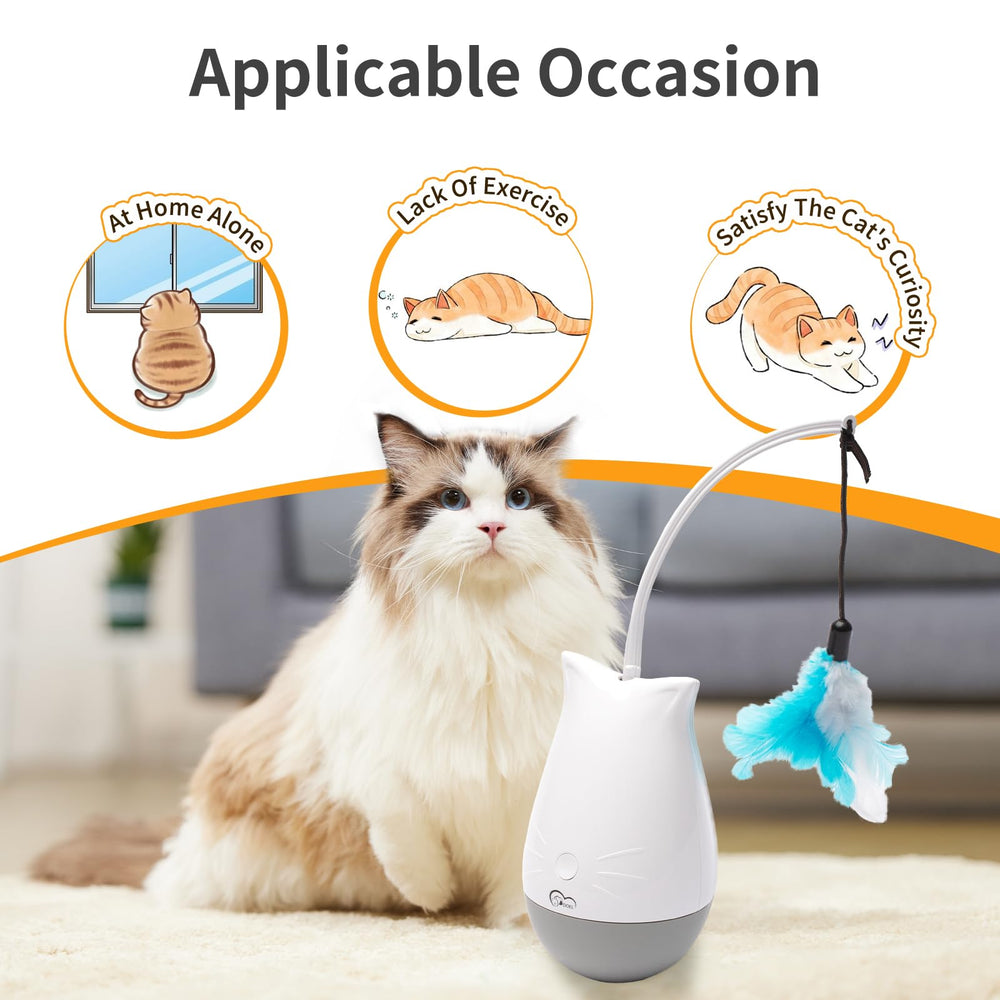 DOEL cat toy detachable shell for easy cleaning after play.