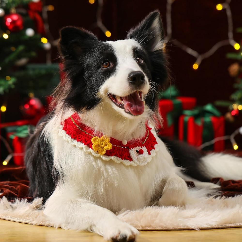 Dog bandanas used as a Christmas photo prop in a festive scene