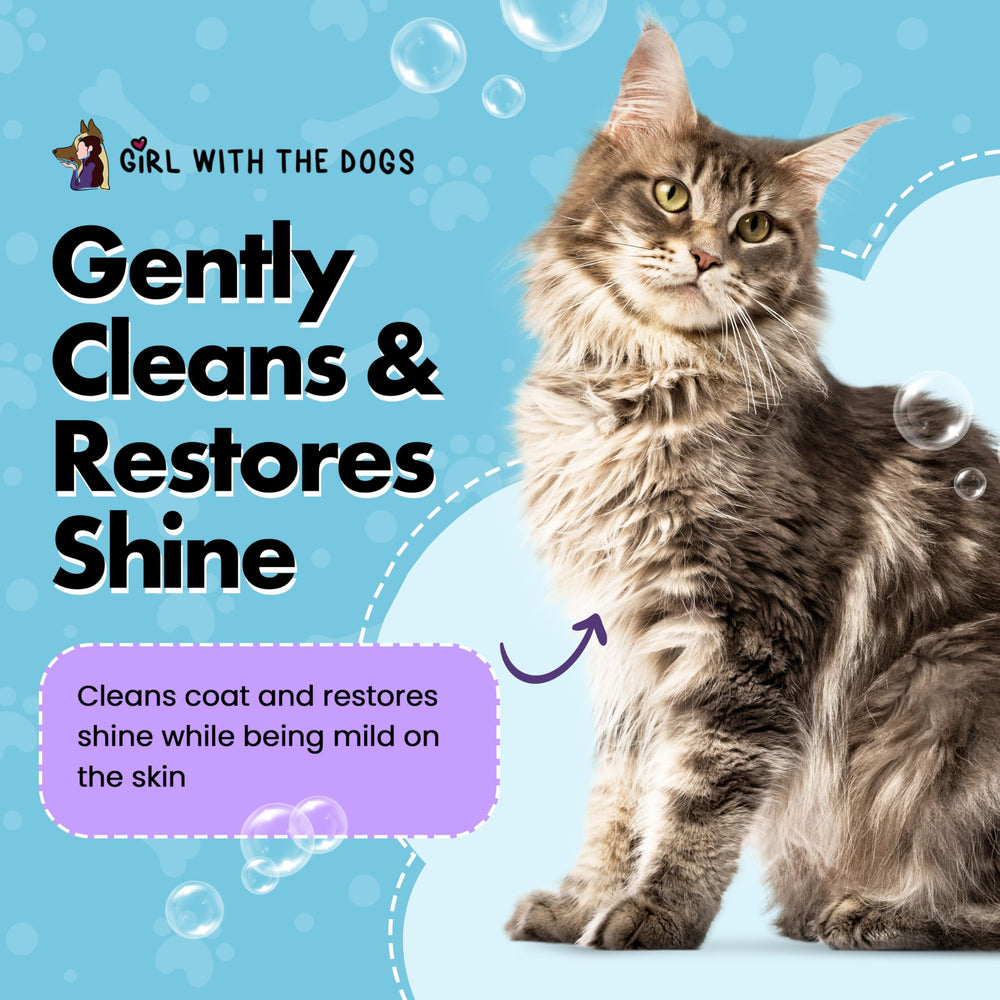 Dog bath time with Pure Fur application emphasizes safe, all-fur cleansing routine.