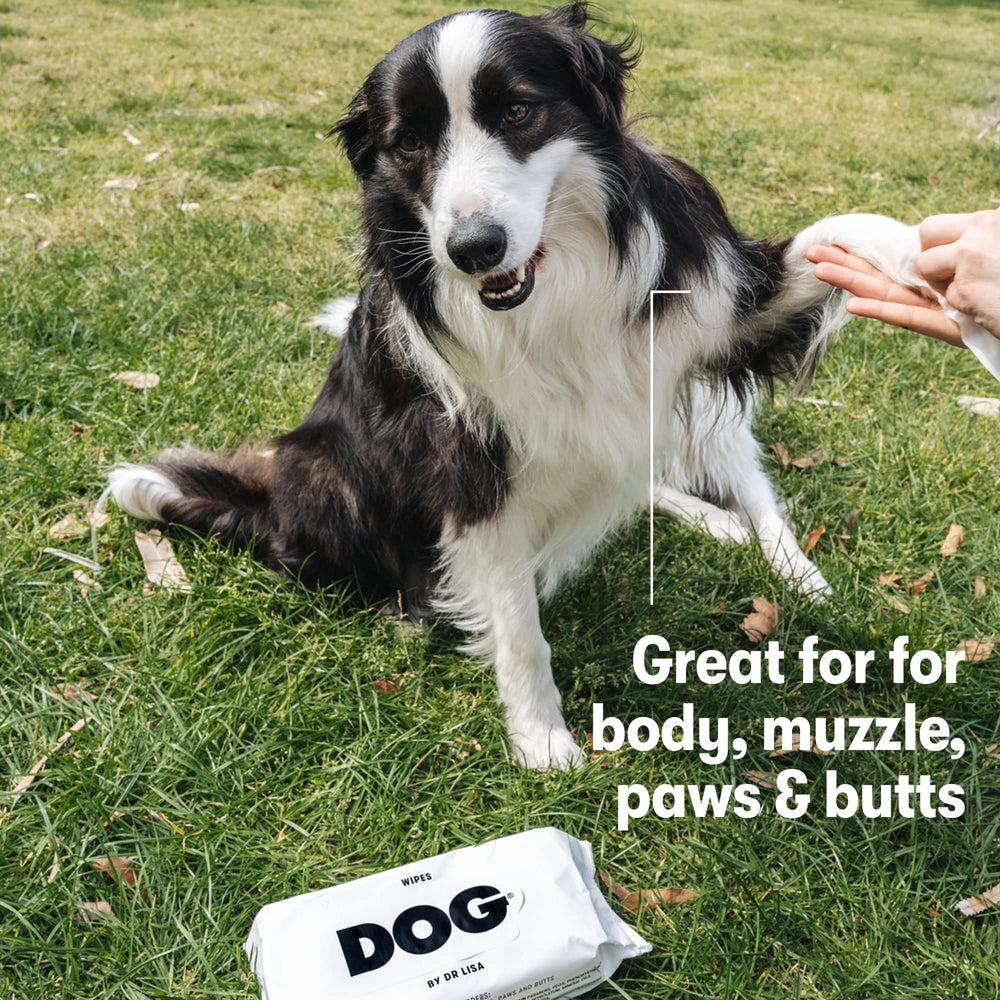 Eco-friendly packaging for DOG by Dr Lisa dog wipes