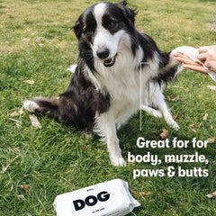 Eco-friendly packaging for DOG by Dr Lisa dog wipes