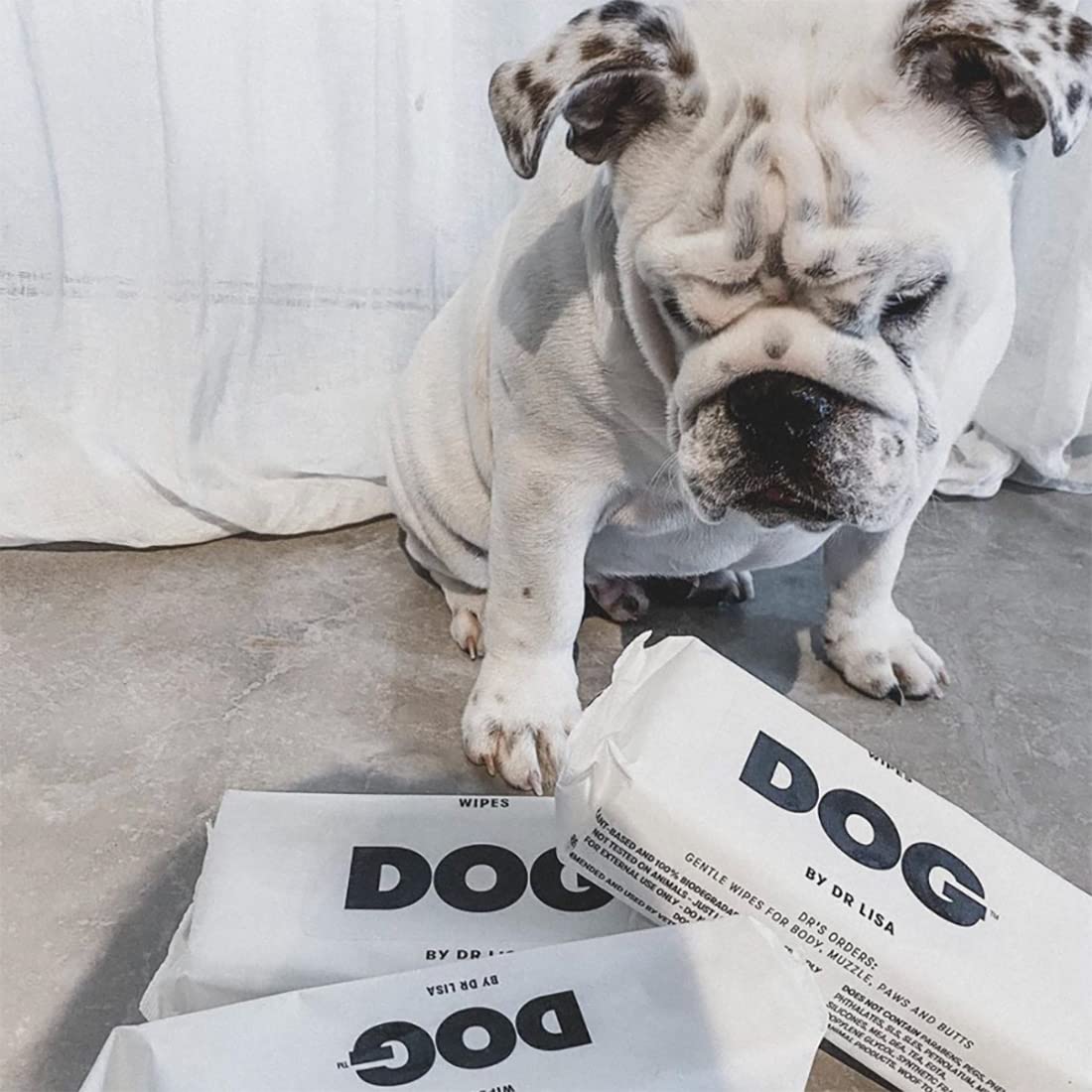 Recycling-friendly packaging and charity support from DOG by Dr Lisa