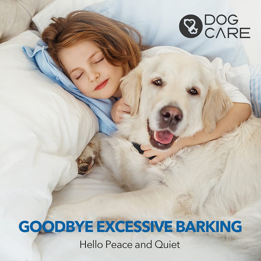 DOG CARE collar in vibration mode provides gentle cues during obedience practice