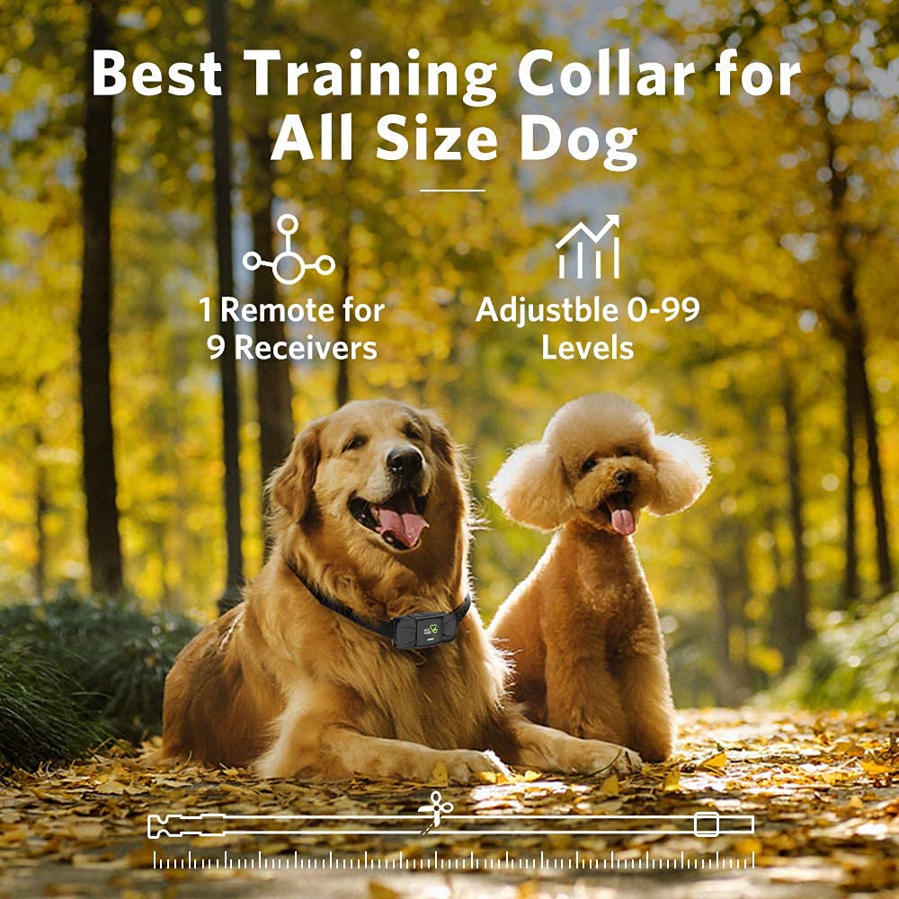 DOG CARE dog training collar shock mode provides safe correction options