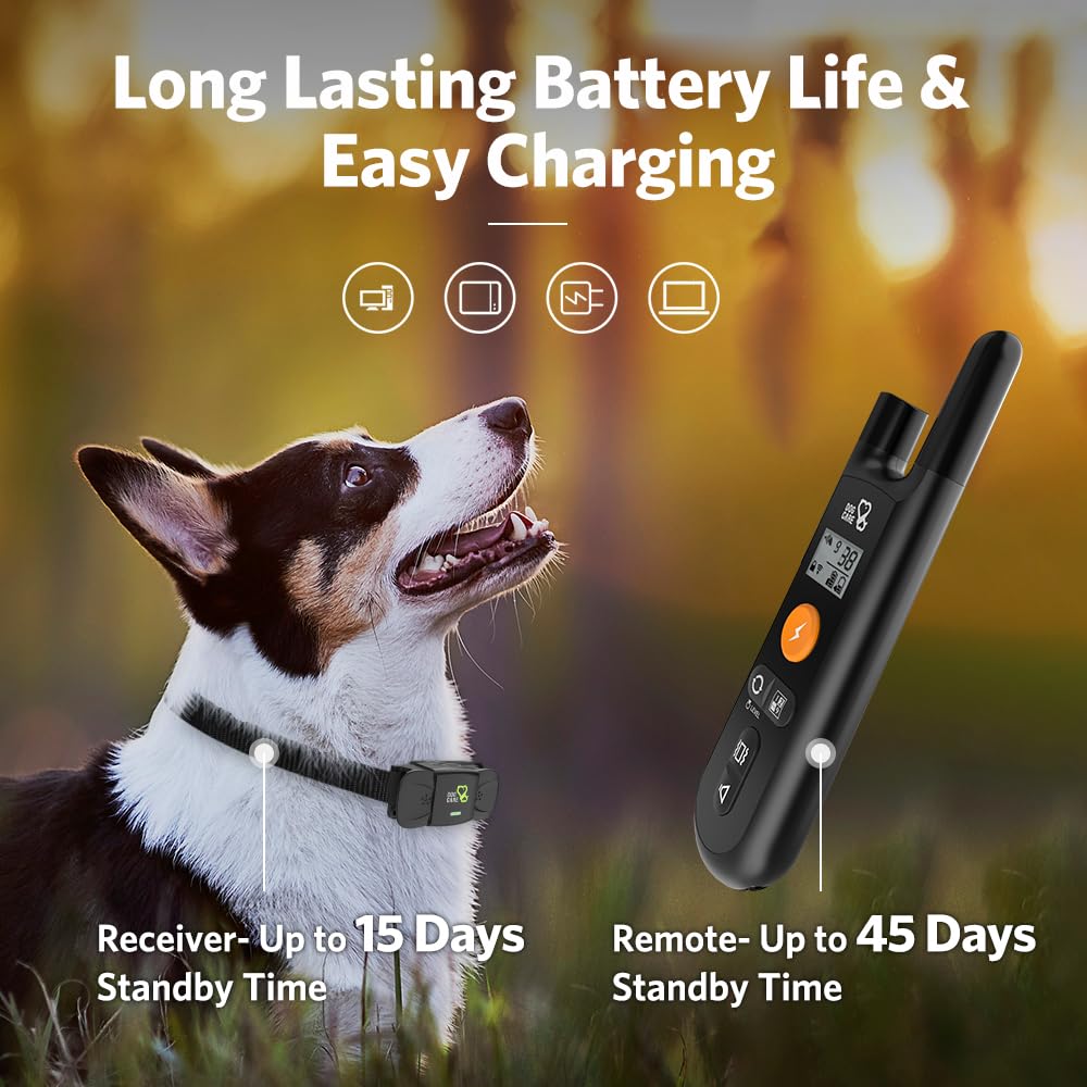 DOG CARE remote control demonstrates long-range training with 330-yard coverage
