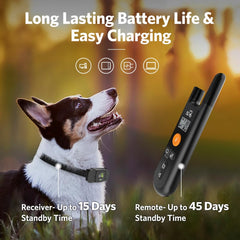 DOG CARE remote control demonstrates long-range training with 330-yard coverage