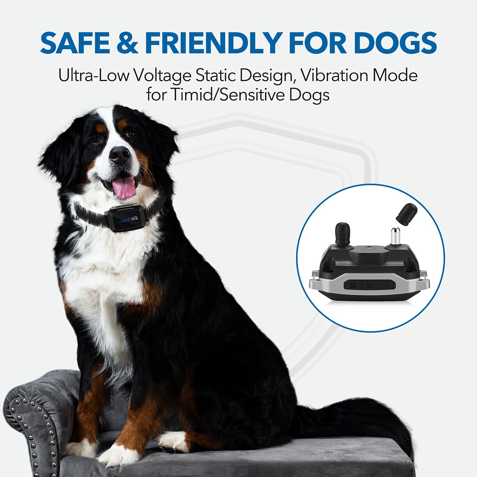 DOG CARE remote-control bark collar enables training across the yard for multiple dogs