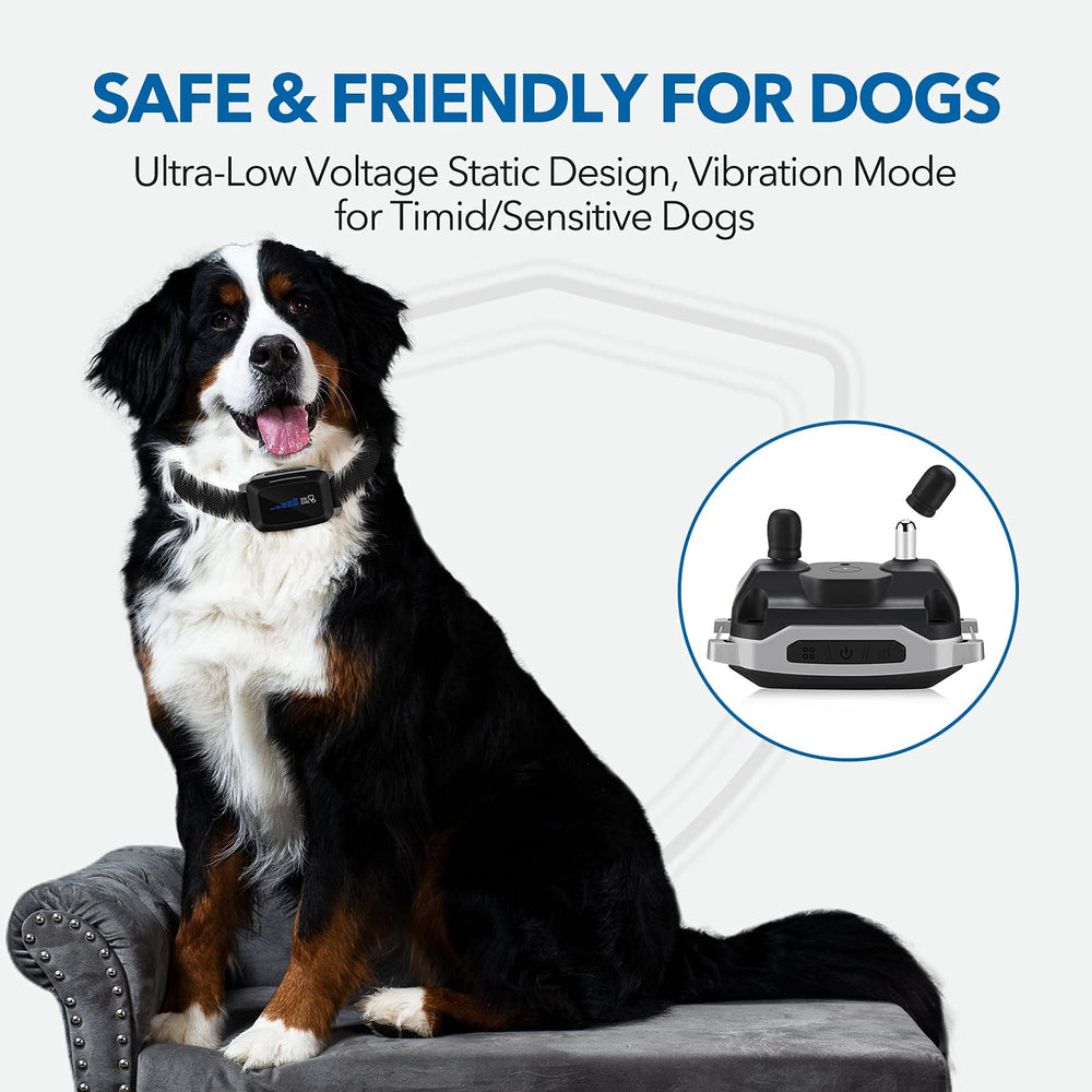 DOG CARE remote-control bark collar enables training across the yard for multiple dogs