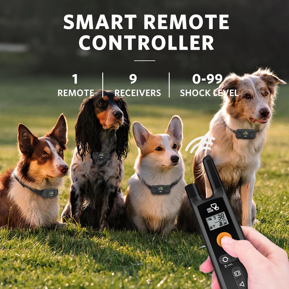 DOG CARE dog training collar vibration mode supports engaged training sessions