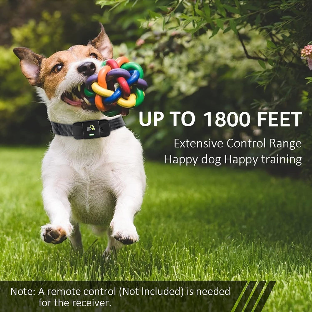 DOG CARE shock collar receiver waterproof construction suitable for swimming and water play.