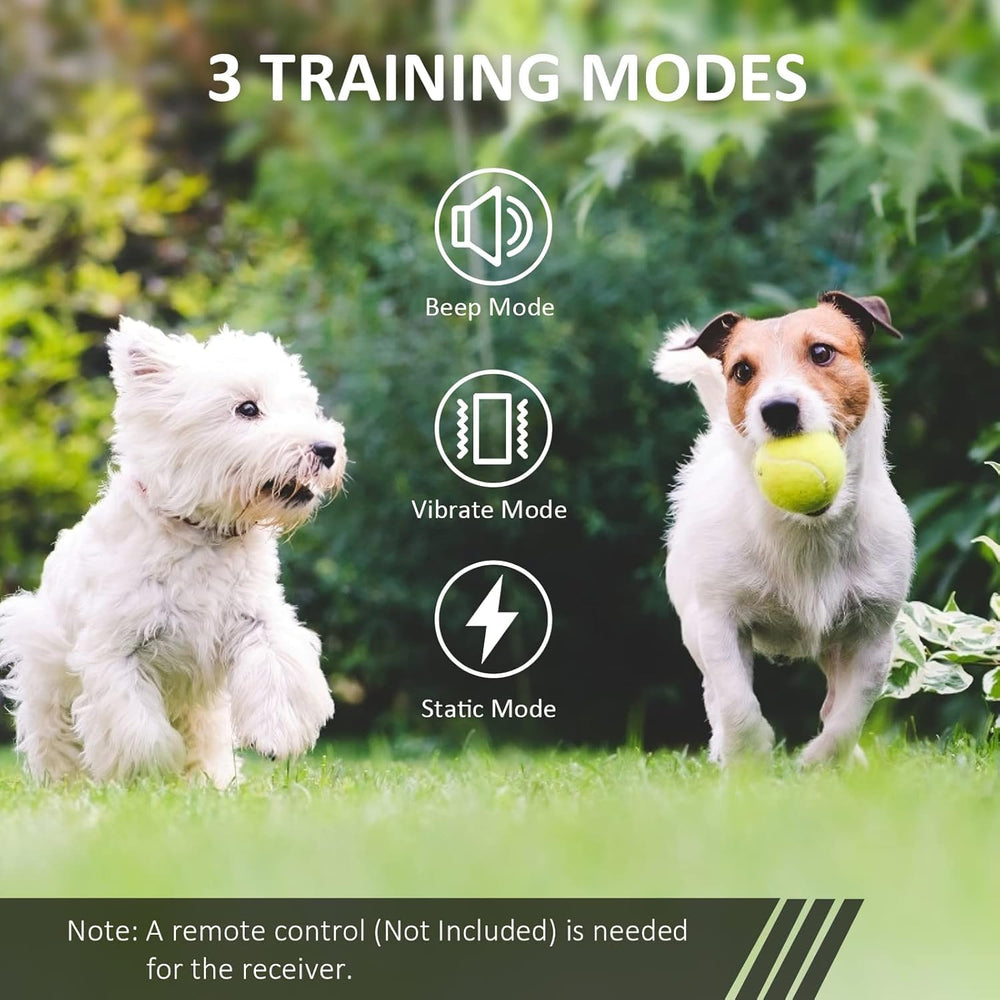 DOG CARE TC01 compatibility note graphic clarifies July 2025 onward collar compatibility.