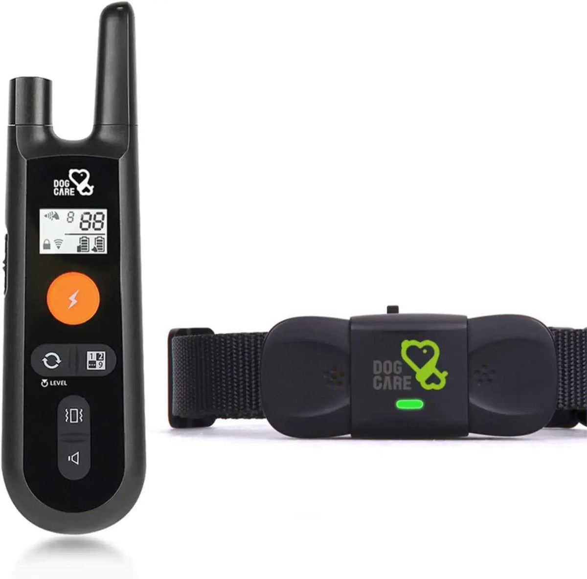 DOG CARE training collar remote in use during park obedience session