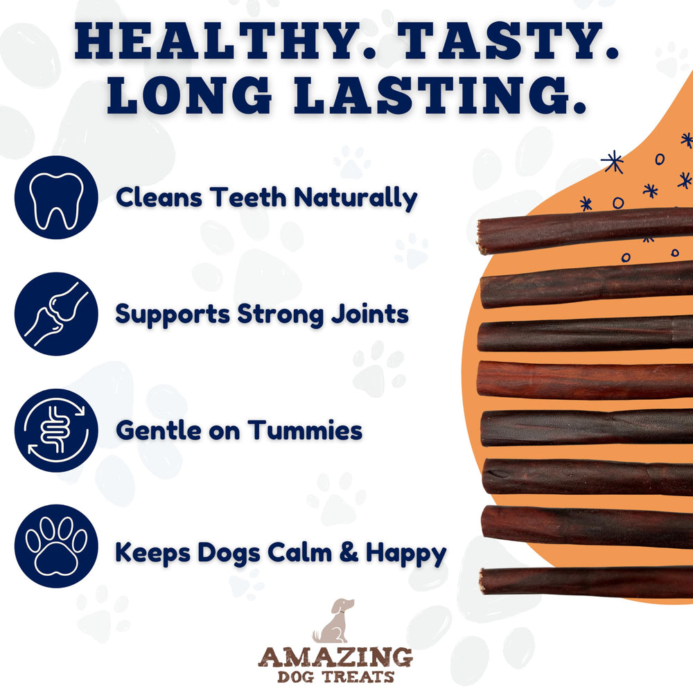 Amazing Dog Treats dog-chewing collagen stick captures chewy session that supports dental stimulation.