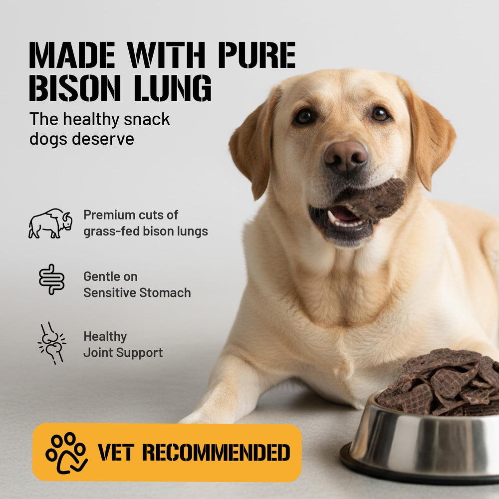 Dog Chits bison lung fillets image emphasizes chewy texture that helps fresh breath and gum care.