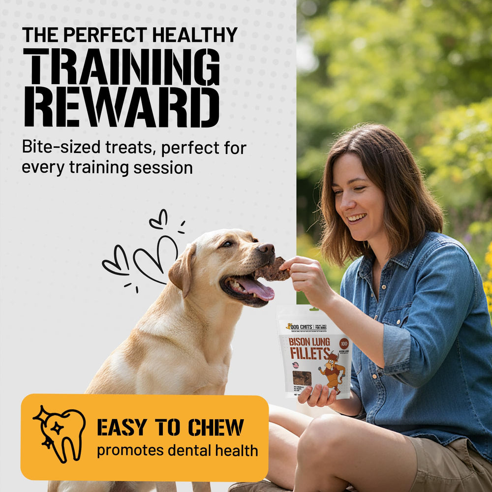Dog Chits bison lung fillets training treats image demonstrates bite-size pieces for quick rewards.