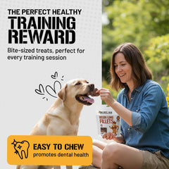 Dog Chits bison lung fillets training treats image demonstrates bite-size pieces for quick rewards.