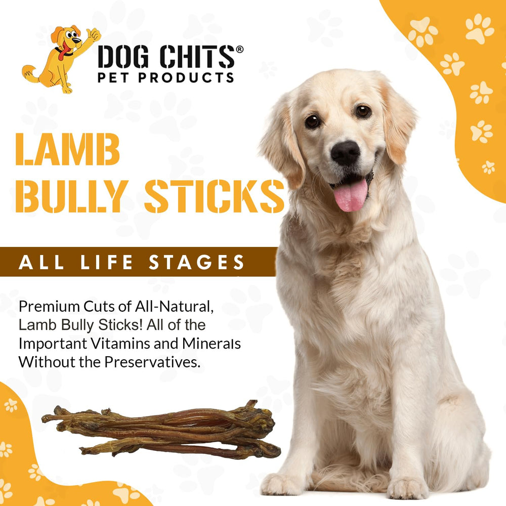 Dog Chits bully sticks lamb-pizzle close-up highlights single-ingredient formula.