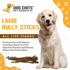 Dog Chits bully sticks lamb-pizzle close-up highlights single-ingredient formula.