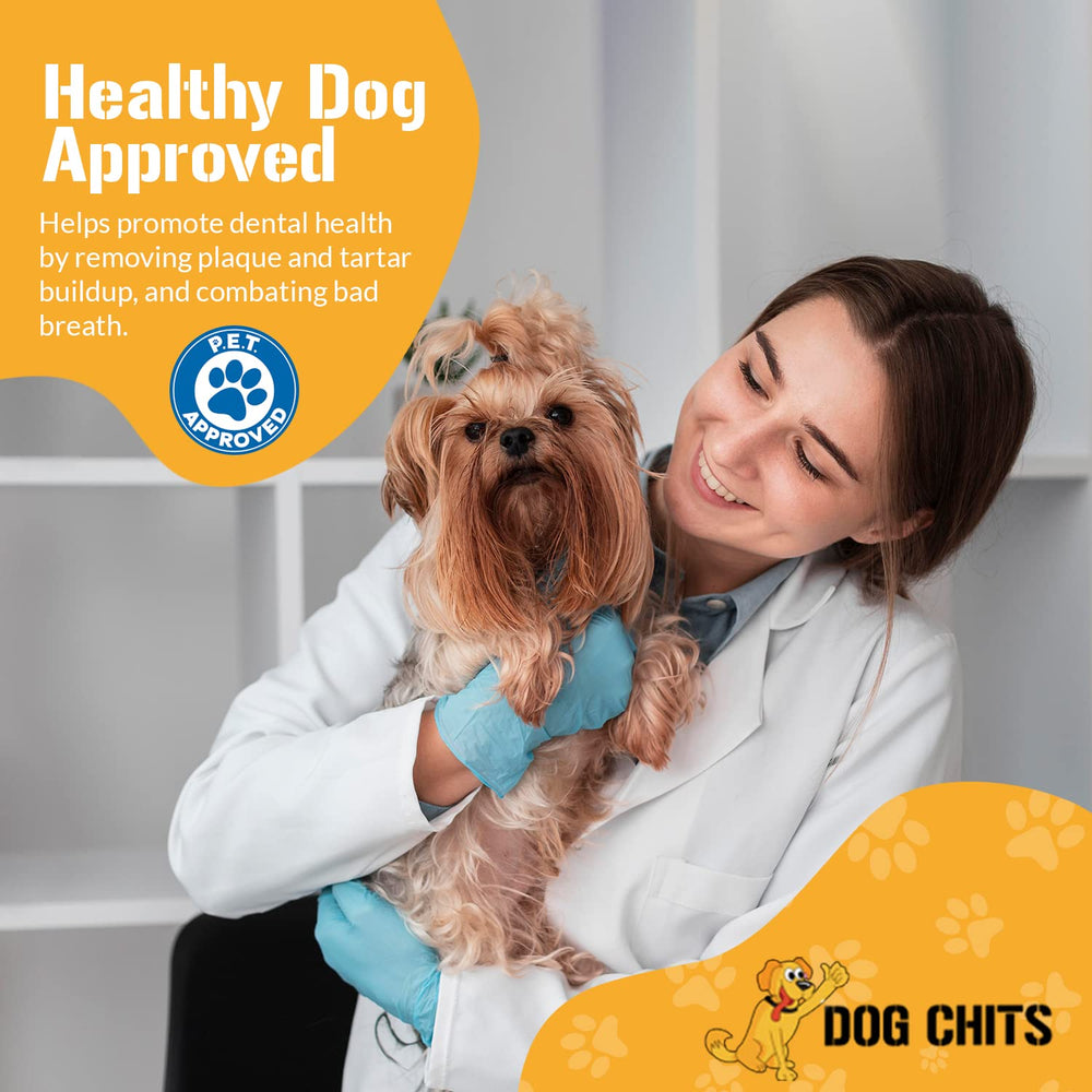Dog Chits bully sticks lamb-pizzle-dental-friendly promotes potential dental benefits with chewing.