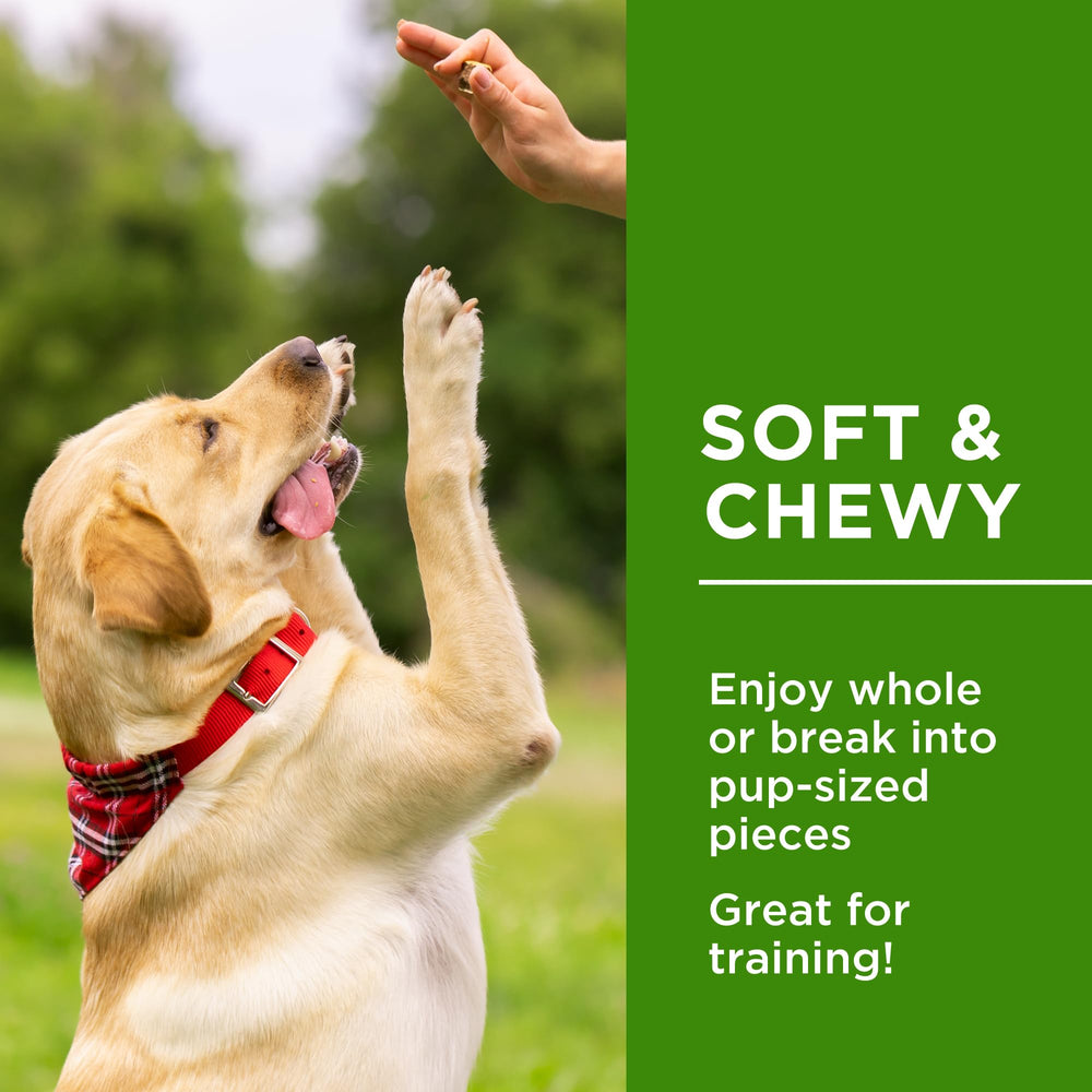 Dog Delights Chewy Duck Sticks all-natural protein alternative.