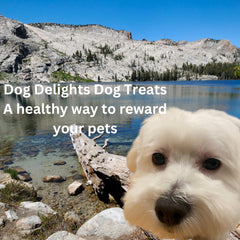 Dog Delights Duck Sticks suitable for all breeds and sizes.