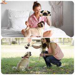 Dog Dog Pug stuffed animal with durable stitching supports hours of gentle play