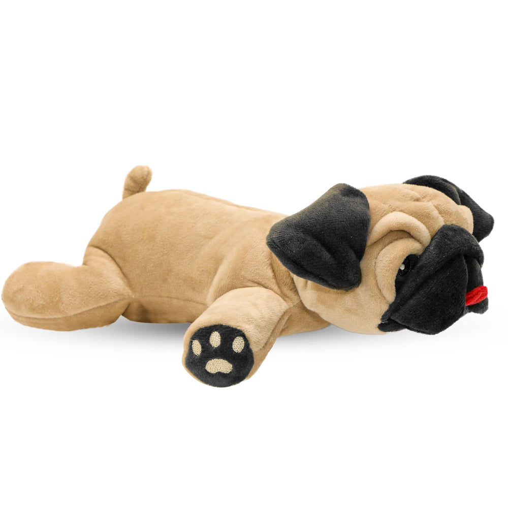 Dog Dog Pug stuffed animal close-up face and eyes for cuddle-ready play