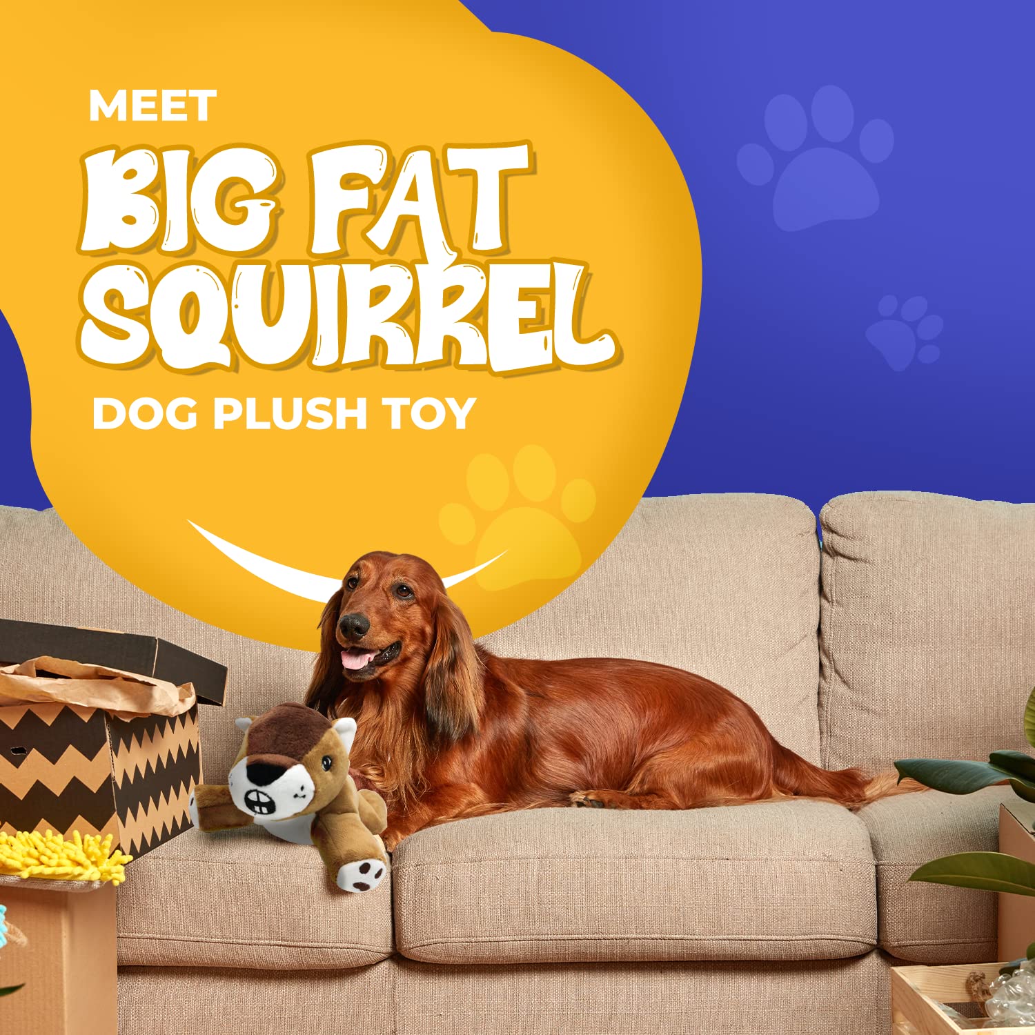 Dog Dog Squirrel plush toy with interior squeaker for interactive play