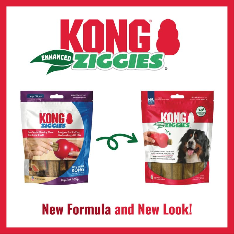 Dog enjoys KONG Enhanced Ziggies chew during playtime
