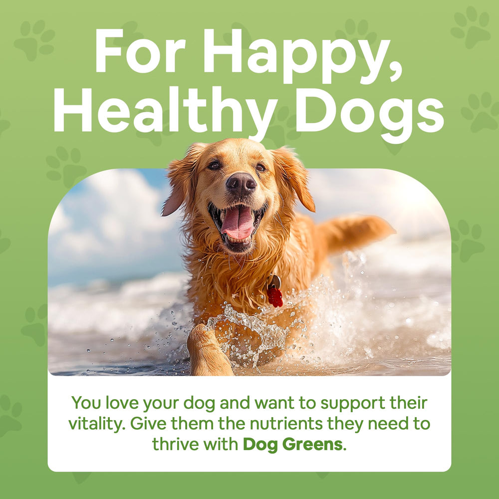 Dog Greens powder in a bowl ready to mix into meals for energy