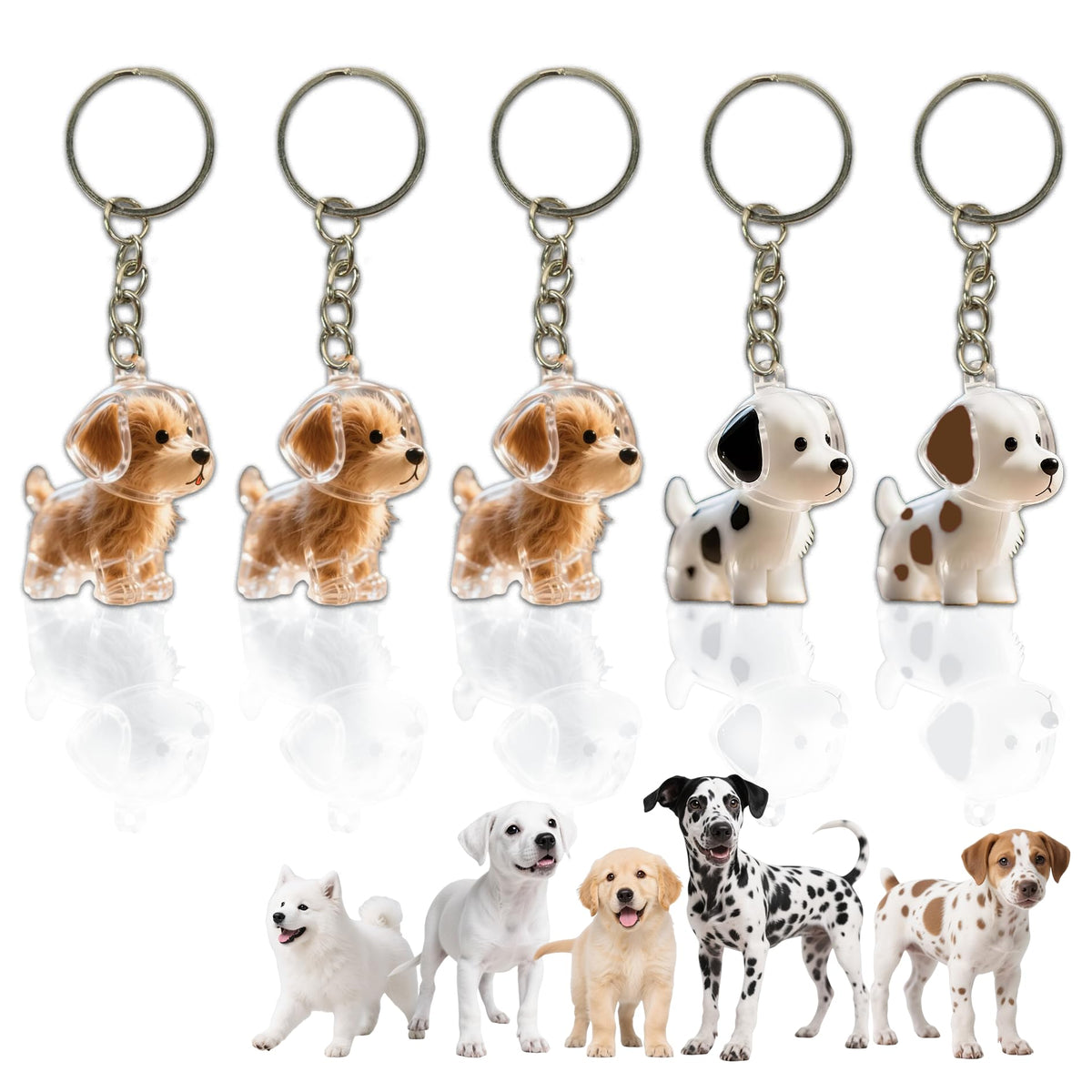 Dog Hair Keychain: compact clear vial preserves fur memories on the go.