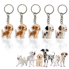 Dog Hair Keychain: compact clear vial preserves fur memories on the go.
