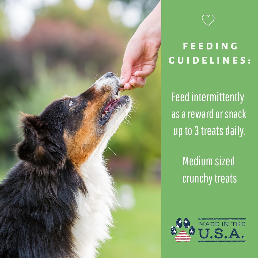 Dog Mamma's kale-rich bites show vibrant color and flavor.