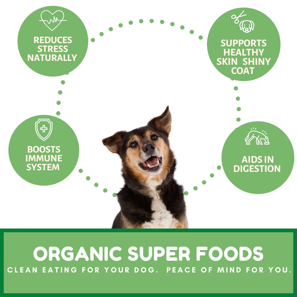 Dog Mamma's no wheat corn soy image highlights natural ingredients.
