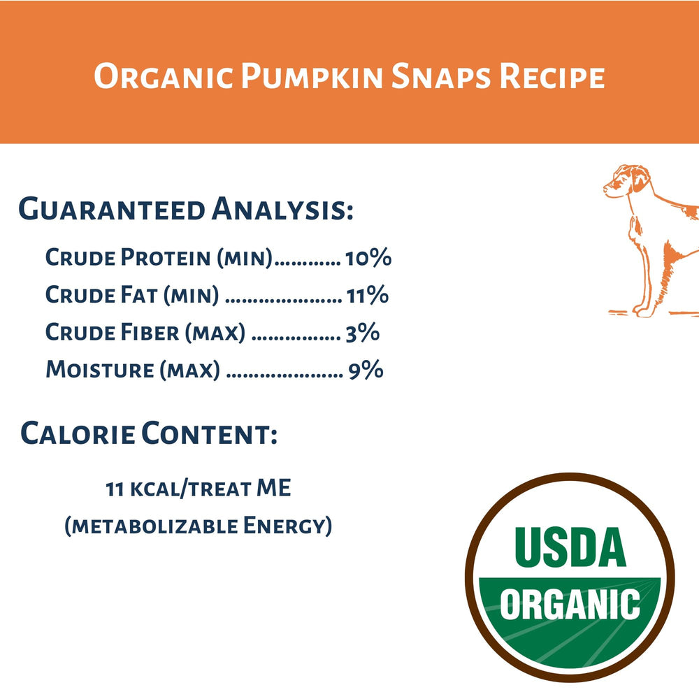 Dog Mamma's Organic Pumpkin Snaps 6oz pack, convenient size for on-the-go treats.