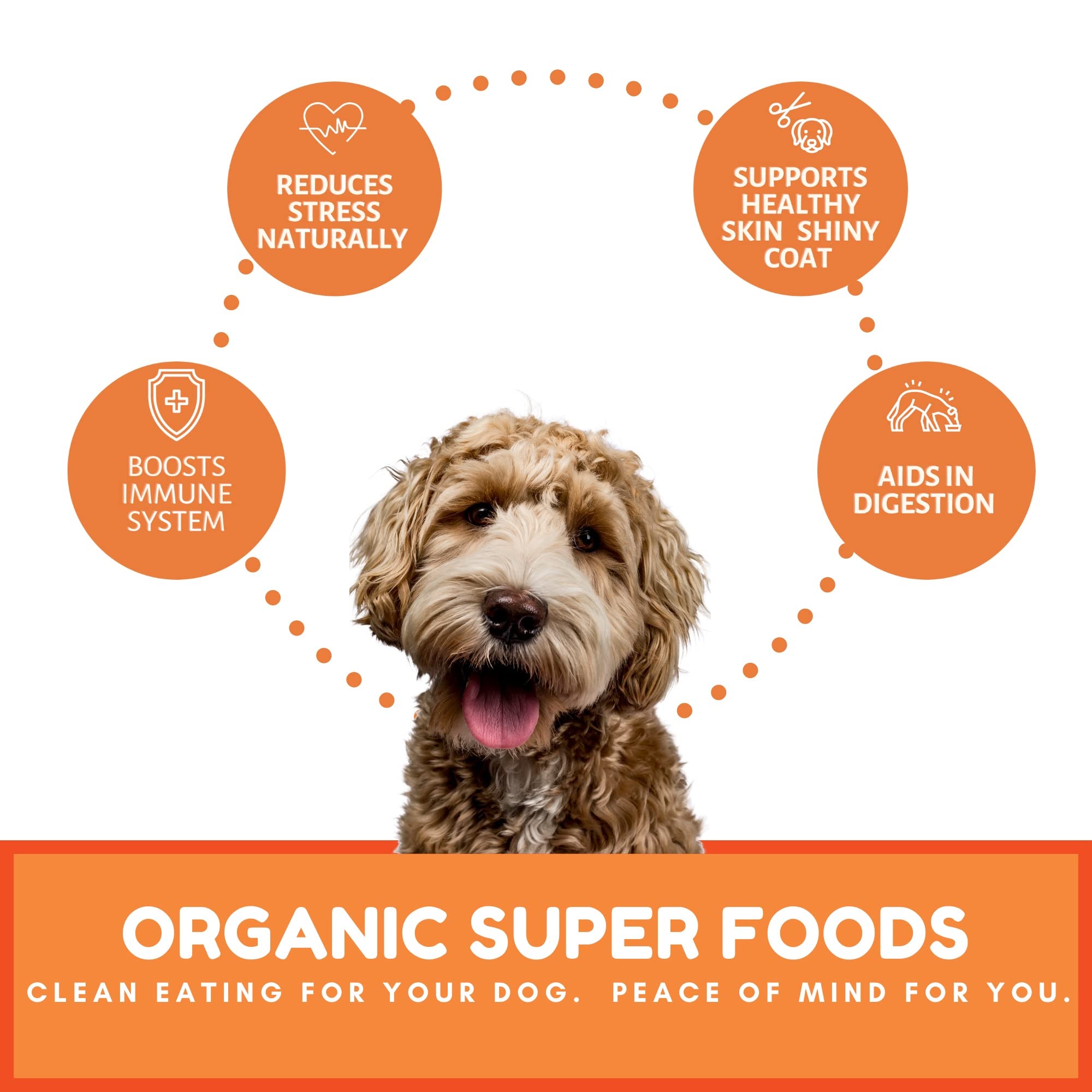 Dog Mamma's Organic Pumpkin Snaps handcrafted in USA, supporting small business.