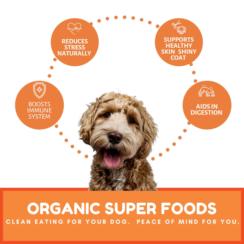 Dog Mamma's Organic Pumpkin Snaps handcrafted in USA, supporting small business.