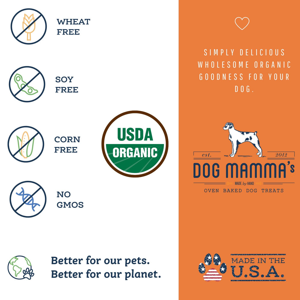Dog Mamma's Organic Pumpkin Snaps oven-baked tray, aroma hints at pumpkin spice.