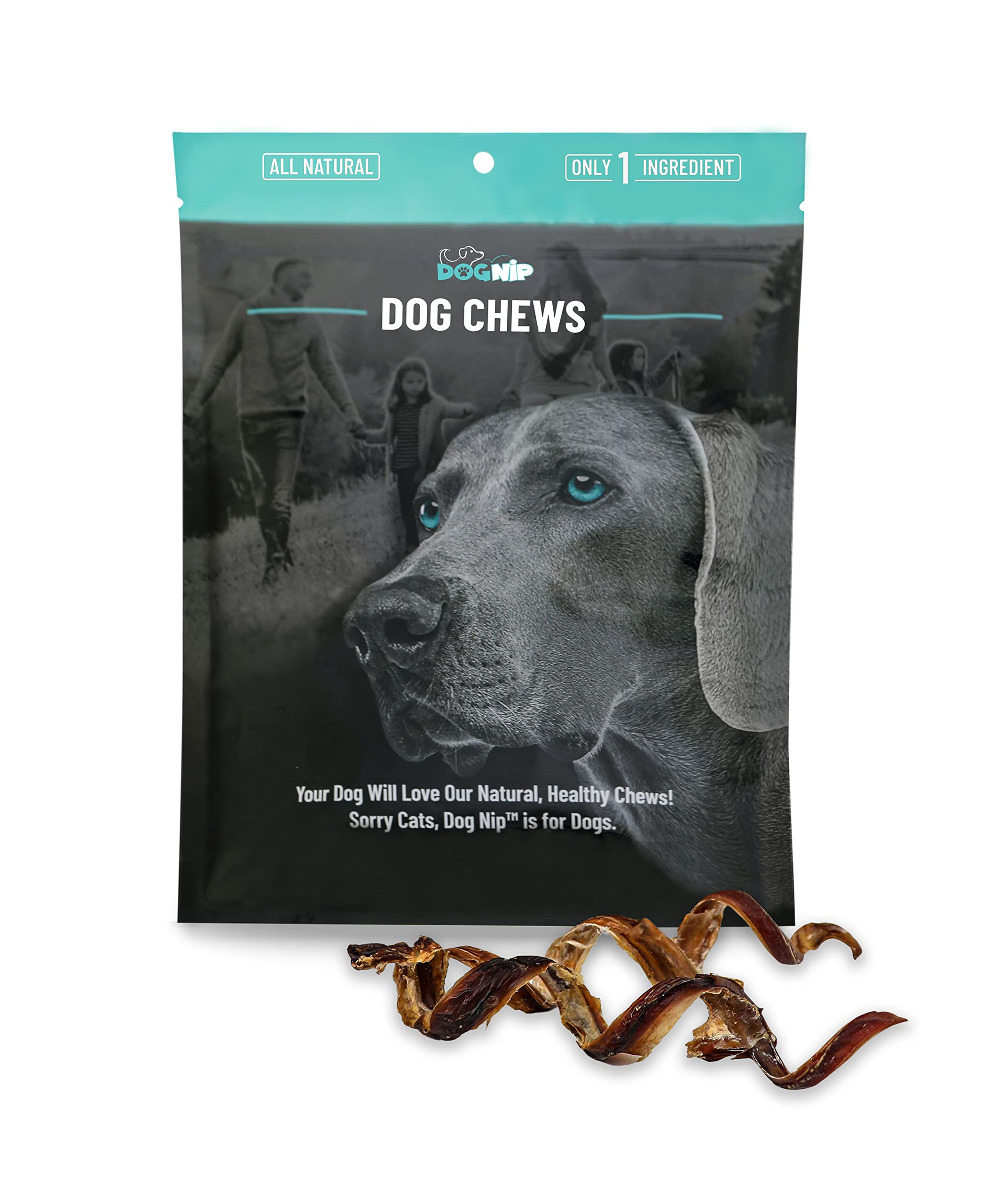 Dog Nip 6-inch Pork Spring Bully Sticks 12-pack offer satisfying chew and potential dental support.