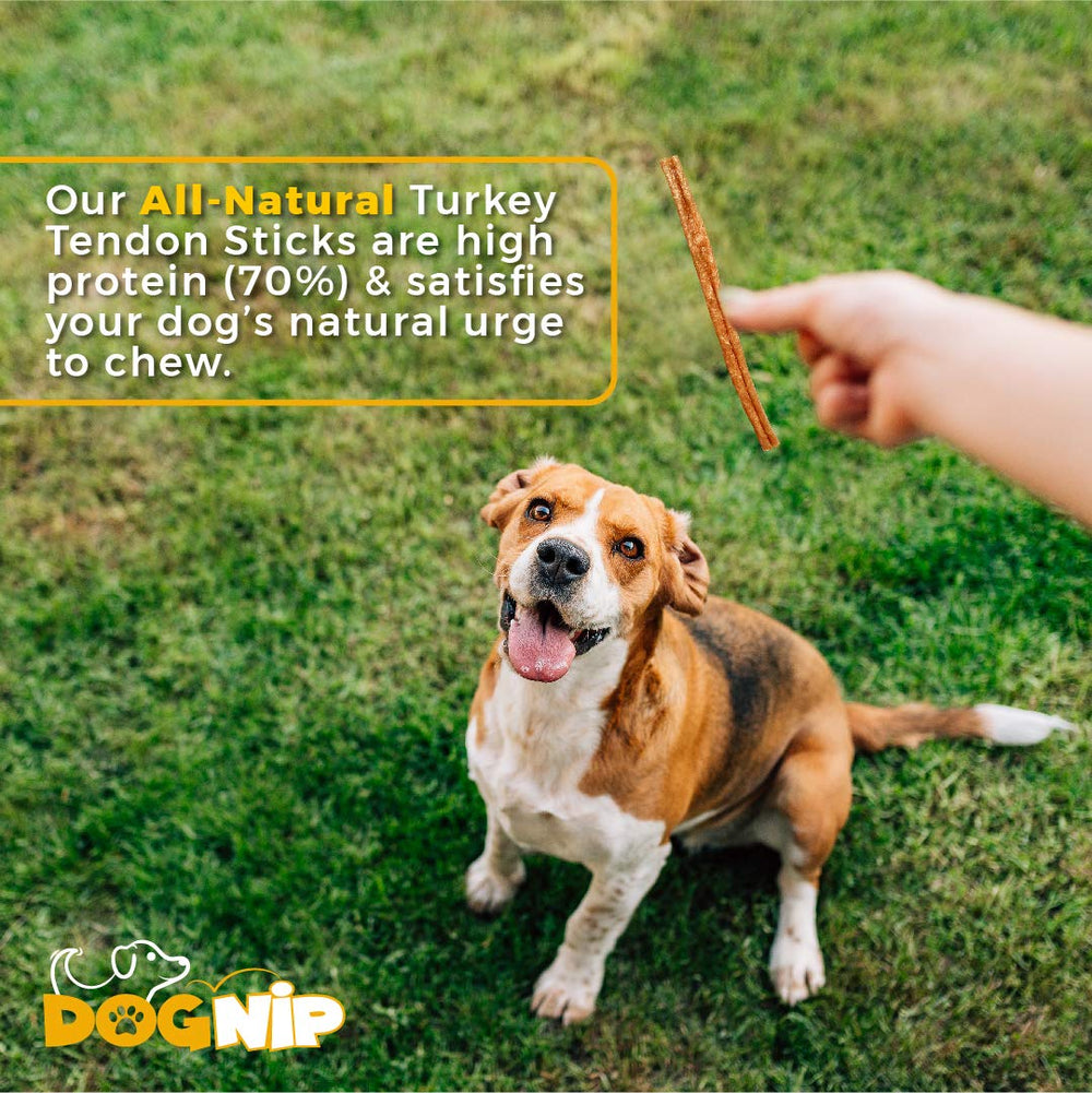 Dog Nip Gobble Single-Ingredient Turkey Tendon Chews showcasing simple ingredients.