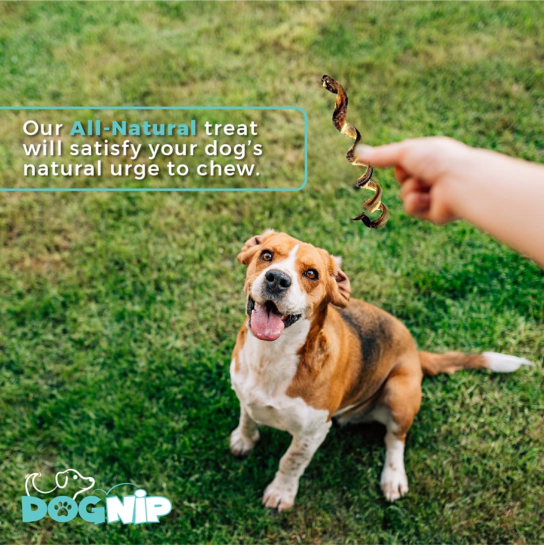 Dog Nip puppy-friendly 6-inch bully sticks support safe gnawing for small dogs.