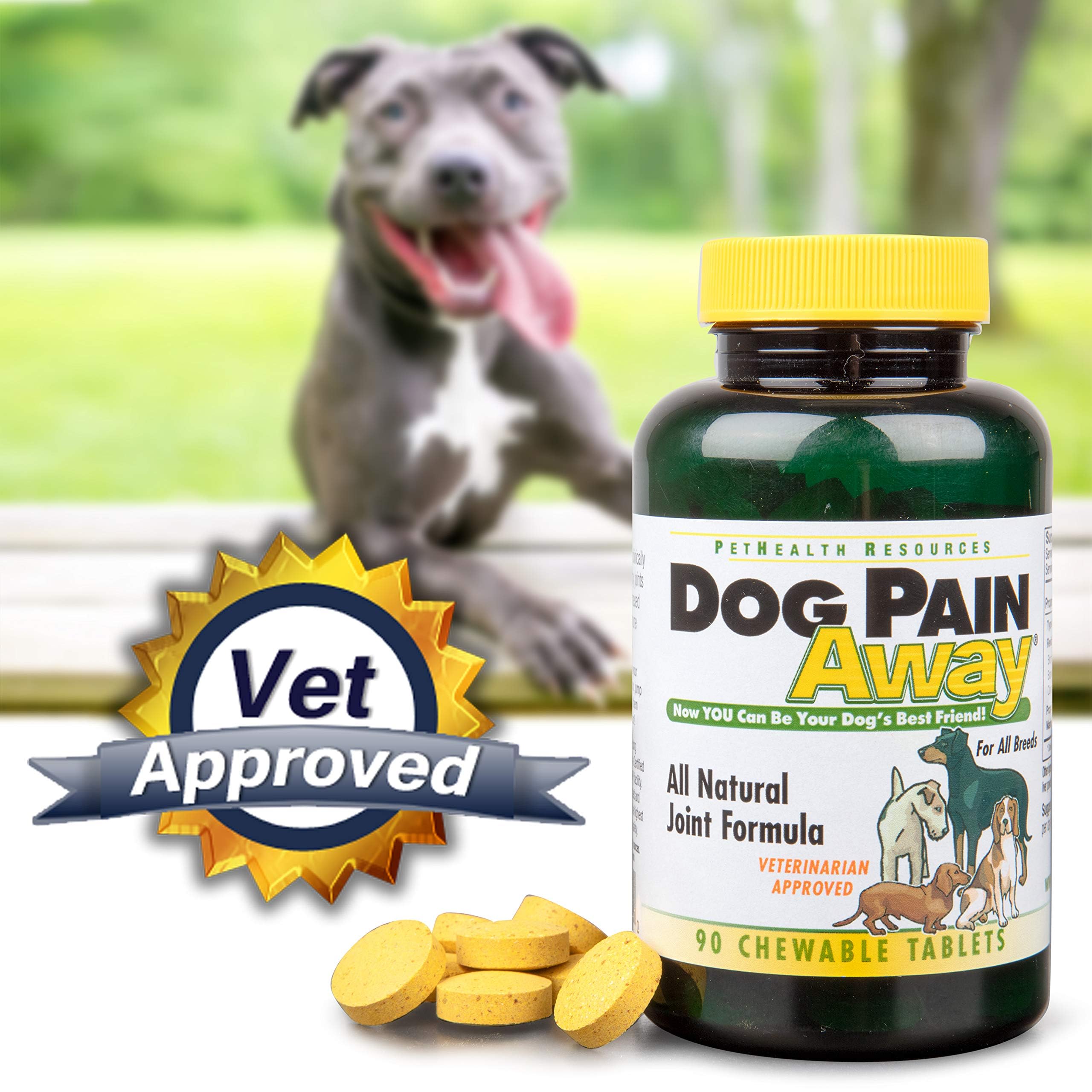 Dog Pain Away chew treats closeup demonstrate tasty joint-friendly mobility support.