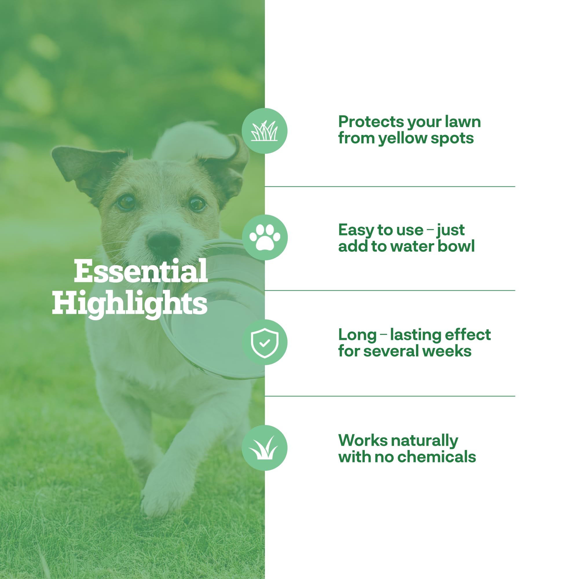 Dog Rocks 200g pack beside a thriving green lawn illustrates lawn support.