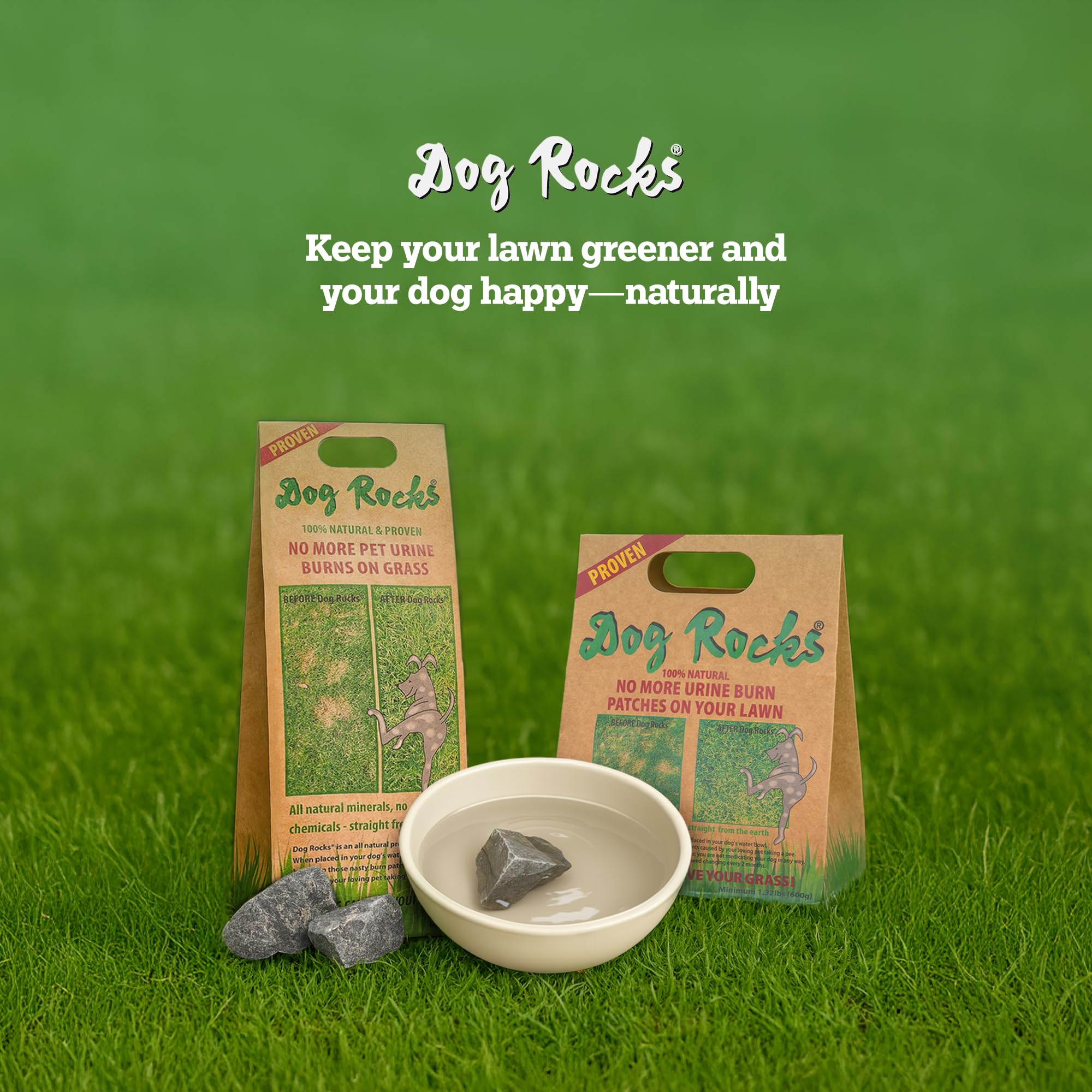 Dog Rocks for multi-pet households in a sunny yard scene.