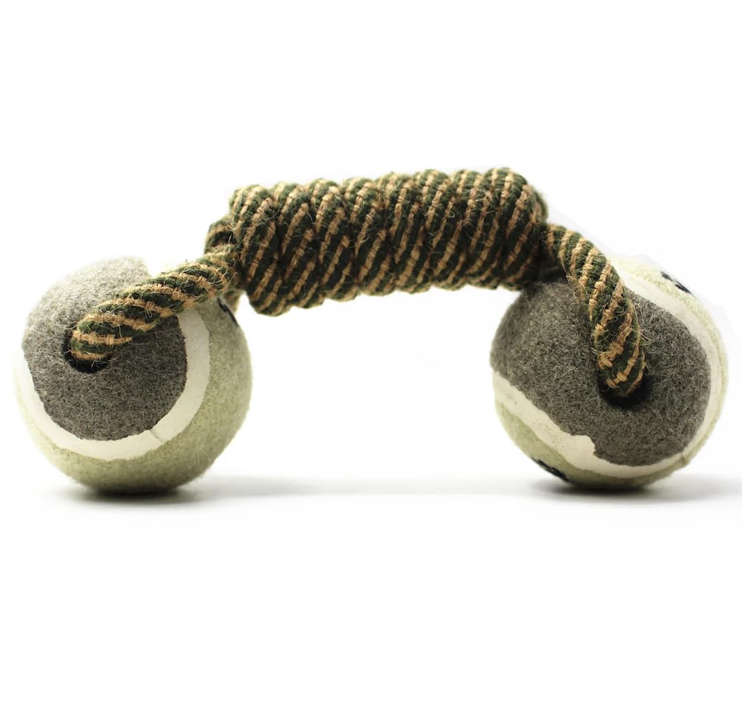 Dog rope dumbbell toy fetch-scene depicting outdoor exercise and bonding.