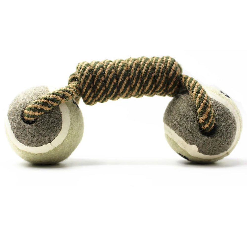 Dog rope dumbbell toy fetch-scene depicting outdoor exercise and bonding.